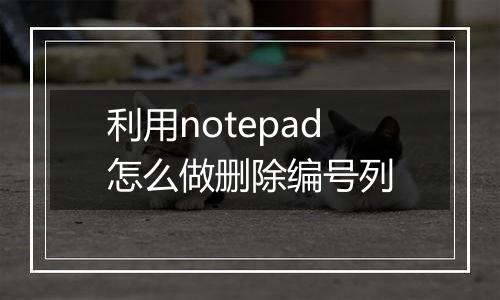 利用notepad怎么做删除编号列