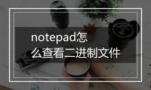 notepad怎么查看二进制文件