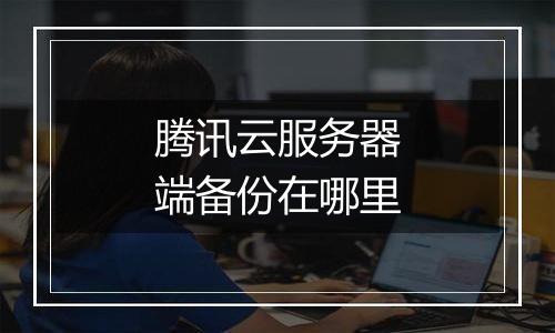腾讯云服务器端备份在哪里