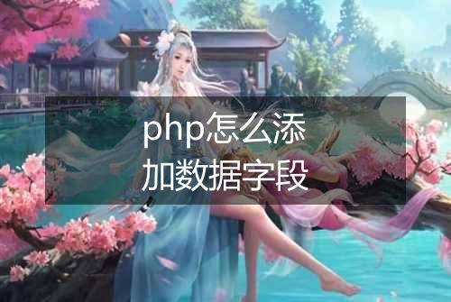 php怎么添加数据字段