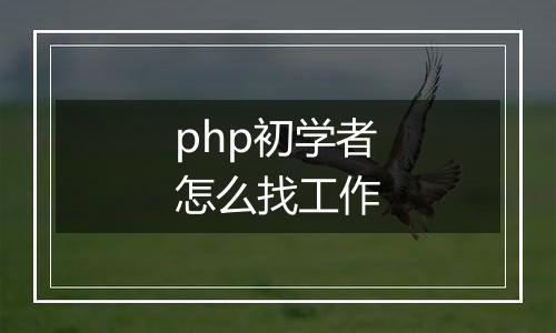 php初学者怎么找工作
