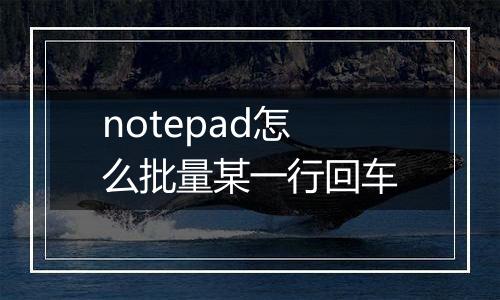 notepad怎么批量某一行回车