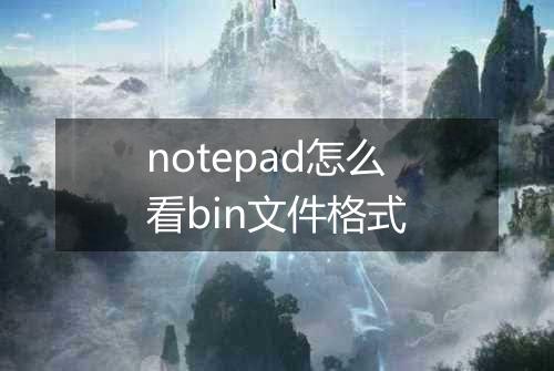 notepad怎么看bin文件格式