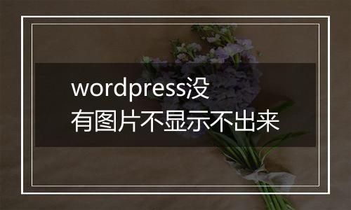 wordpress没有图片不显示不出来