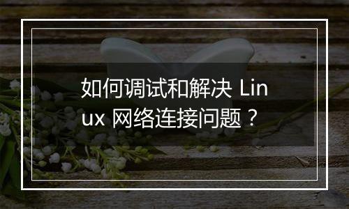 如何调试和解决 Linux 网络连接问题？