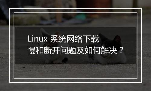 Linux 系统网络下载慢和断开问题及如何解决?