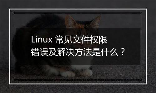 Linux 常见文件权限错误及解决方法是什么？