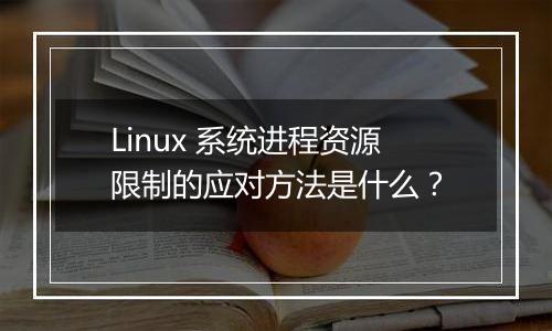 Linux 系统进程资源限制的应对方法是什么?