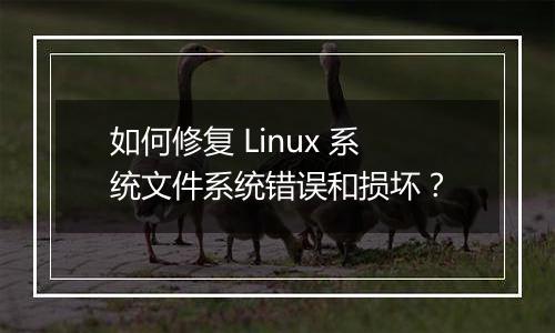 如何修复 Linux 系统文件系统错误和损坏?