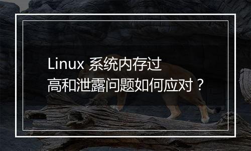 Linux 系统内存过高和泄露问题如何应对?