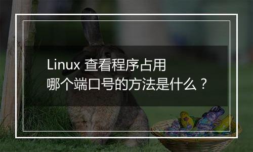 Linux 查看程序占用哪个端口号的方法是什么?
