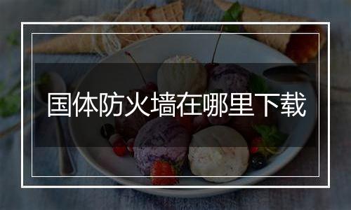 国体防火墙在哪里下载