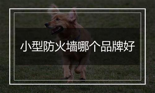 小型防火墙哪个品牌好