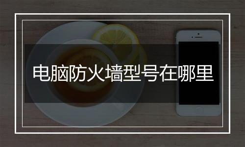 电脑防火墙型号在哪里