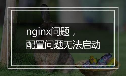 nginx问题,配置问题无法启动
