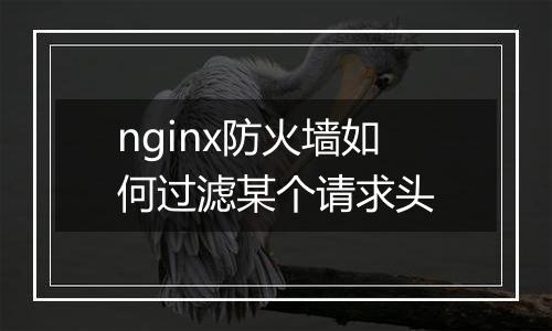 nginx防火墙如何过滤某个请求头