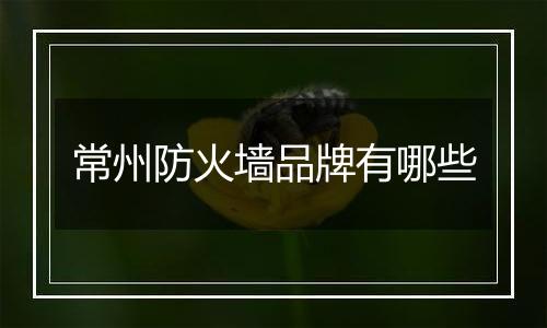 常州防火墙品牌有哪些