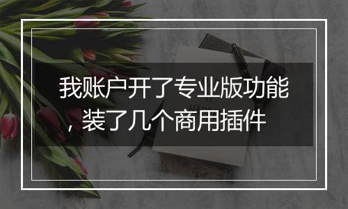 我账户开了专业版功能,装了几个商用插件