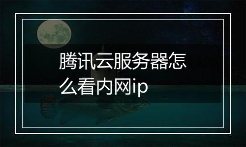腾讯云服务器怎么看内网ip