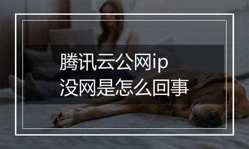 腾讯云公网ip没网是怎么回事