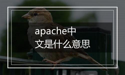 apache中文是什么意思