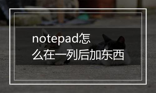 notepad怎么在一列后加东西