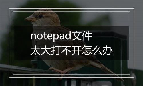 notepad文件太大打不开怎么办