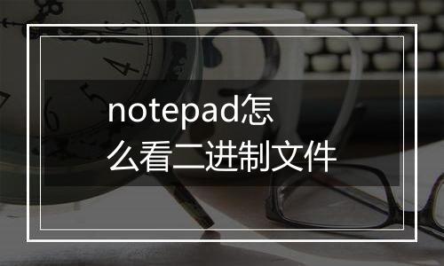 notepad怎么看二进制文件