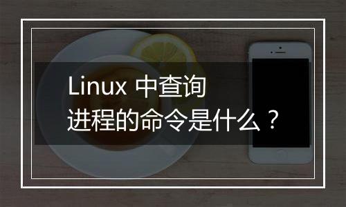 Linux 中查询进程的命令是什么?