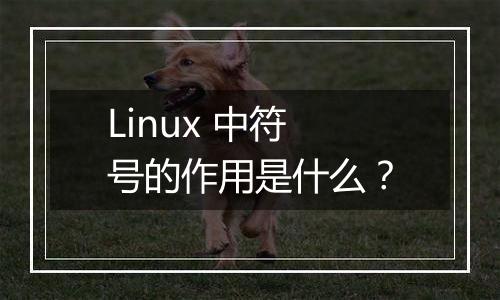 Linux 中符号的作用是什么？