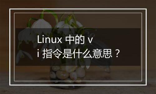 Linux 中的 vi 指令是什么意思？