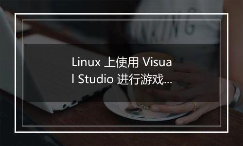 Linux 上使用 Visual Studio 进行游戏开发的推荐配置是什么？