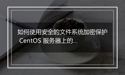 如何使用安全的文件系统加密保护 CentOS 服务器上的数据？