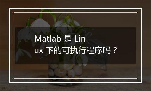 Matlab 是 Linux 下的可执行程序吗?