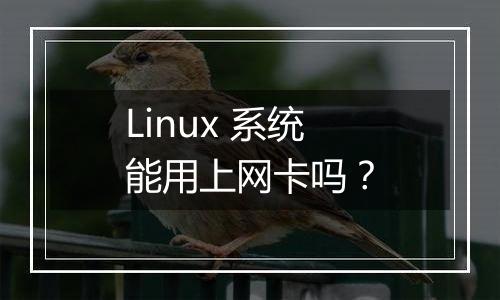 Linux 系统能用上网卡吗?