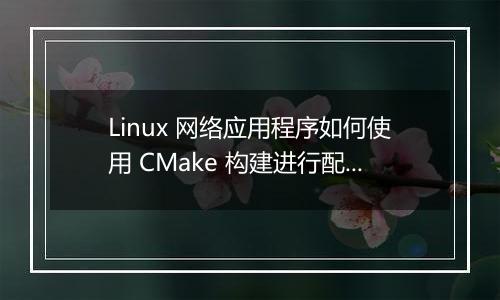 Linux 网络应用程序如何使用 CMake 构建进行配置？