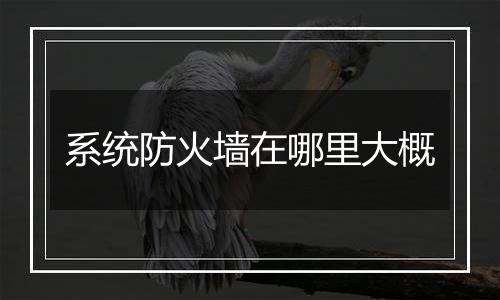 系统防火墙在哪里大概