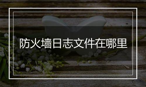防火墙日志文件在哪里