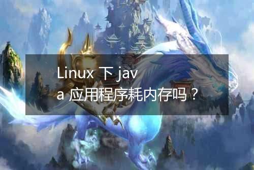 Linux 下 java 应用程序耗内存吗？