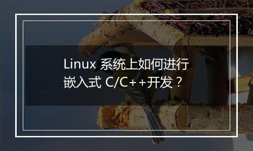 Linux 系统上如何进行嵌入式 C/C++开发?