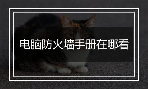 电脑防火墙手册在哪看