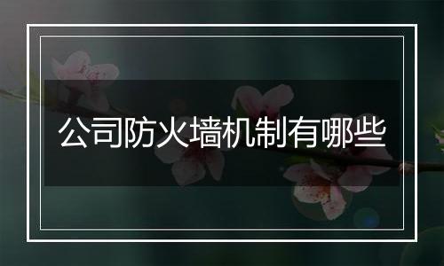 公司防火墙机制有哪些