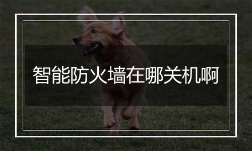 智能防火墙在哪关机啊