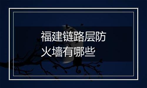 福建链路层防火墙有哪些