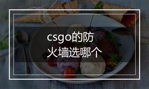 csgo的防火墙选哪个