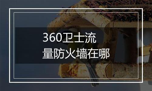 360卫士流量防火墙在哪