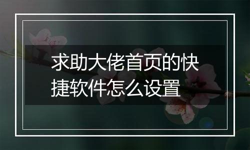 求助大佬首页的快捷软件怎么设置