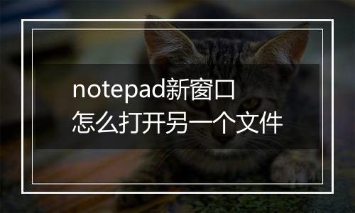 notepad新窗口怎么打开另一个文件