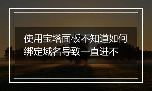使用宝塔面板不知道如何绑定域名导致一直进不