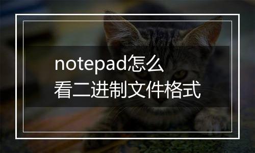 notepad怎么看二进制文件格式